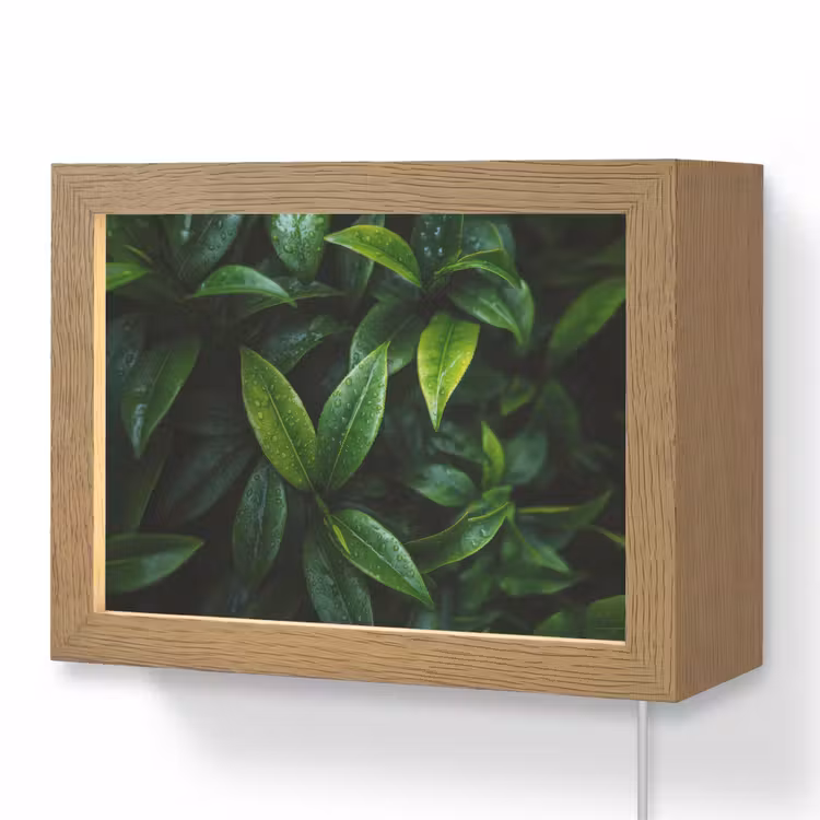 Lightbox - Wandlamp - Bladeren - Regendruppels - Licht - Groen — 1