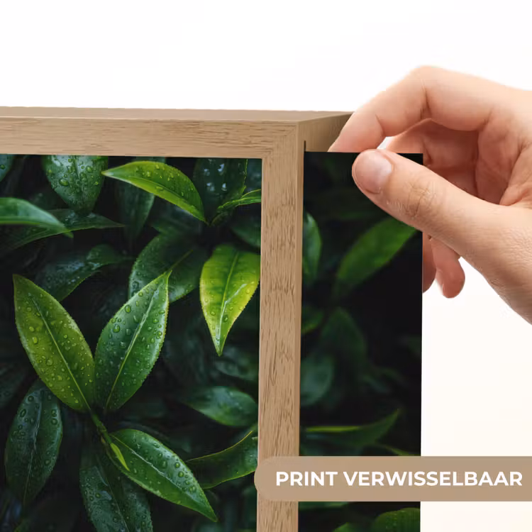 Lightbox - Wandlamp - Bladeren - Regendruppels - Licht - Groen — 6