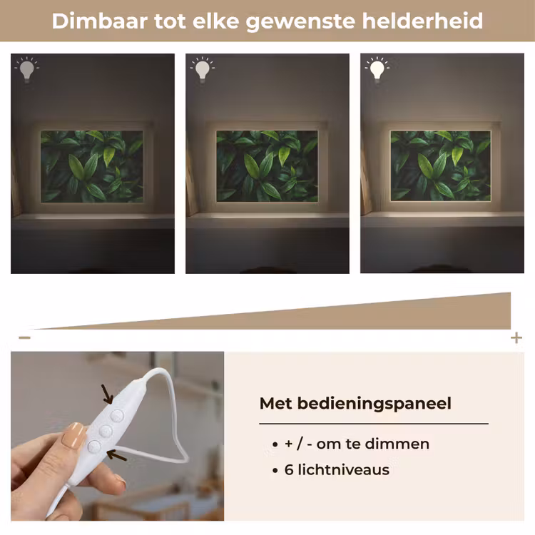 Lightbox - Wandlamp - Bladeren - Regendruppels - Licht - Groen — 8