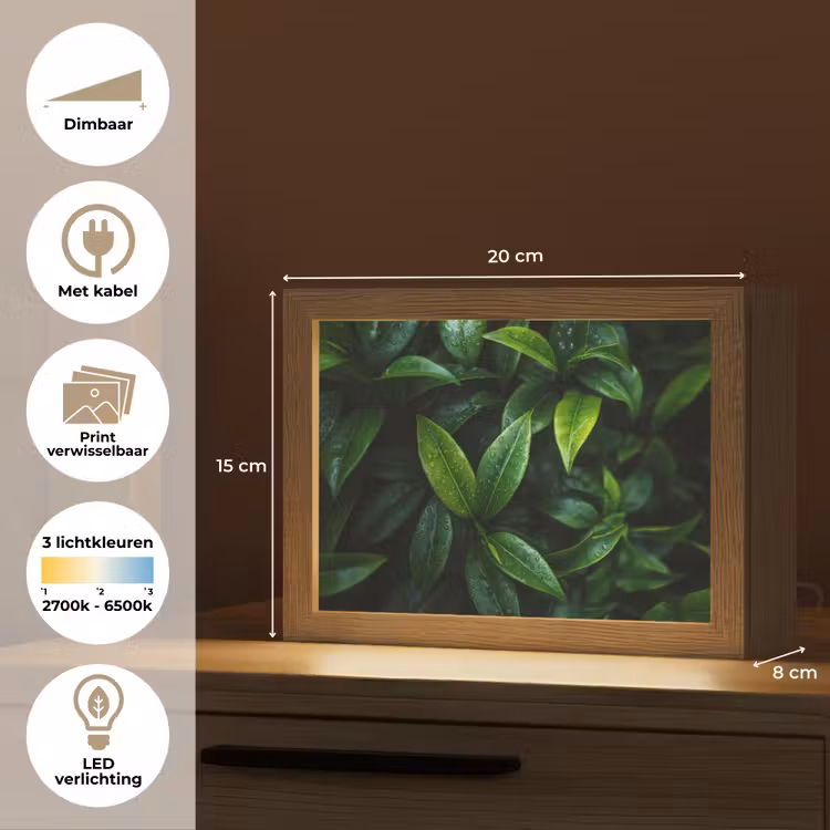 Lightbox - Wandlamp - Bladeren - Regendruppels - Licht - Groen — 9