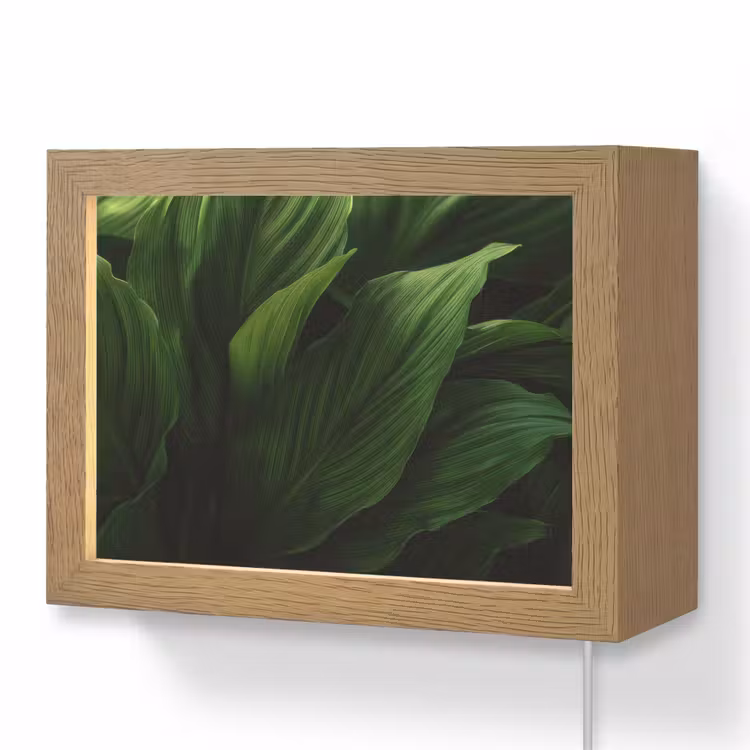 Lightbox - Wandlamp - Bladeren - Schaduw - Groen - Textuur — 1