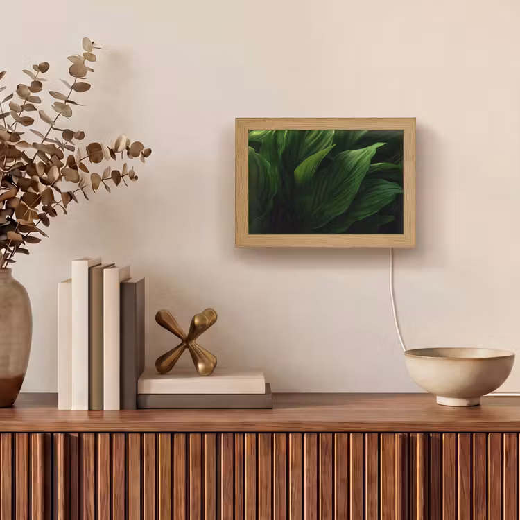Lightbox - Wandlamp - Bladeren - Schaduw - Groen - Textuur — 4