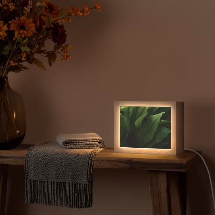 Lightbox - Wandlamp - Bladeren - Schaduw - Groen - Textuur — 5