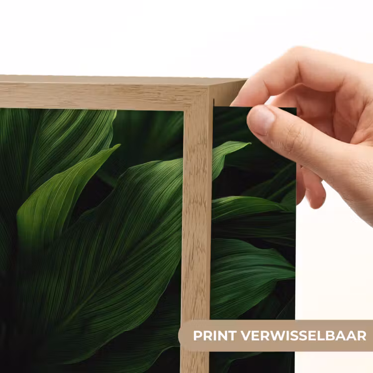 Lightbox - Wandlamp - Bladeren - Schaduw - Groen - Textuur — 6