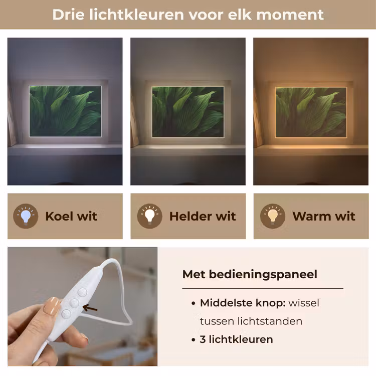 Lightbox - Wandlamp - Bladeren - Schaduw - Groen - Textuur — 7