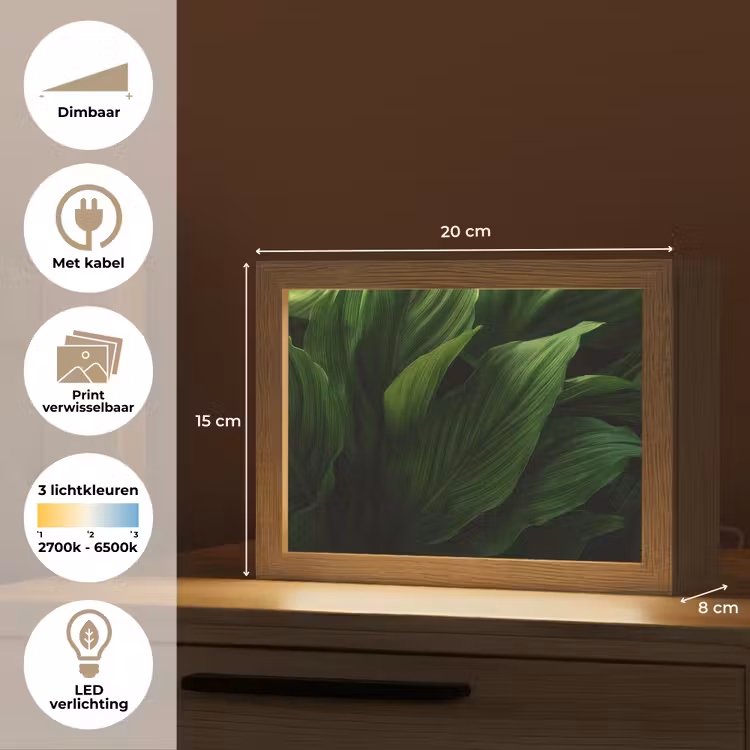 Lightbox - Wandlamp - Bladeren - Schaduw - Groen - Textuur — 9