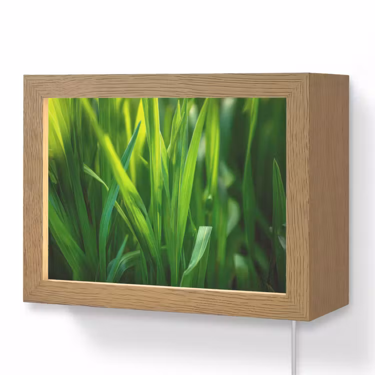 Lightbox - Wandlamp - Grassprieten - Lichtinval - Groen — 1