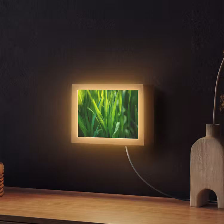 Lightbox - Wandlamp - Grassprieten - Lichtinval - Groen — 2