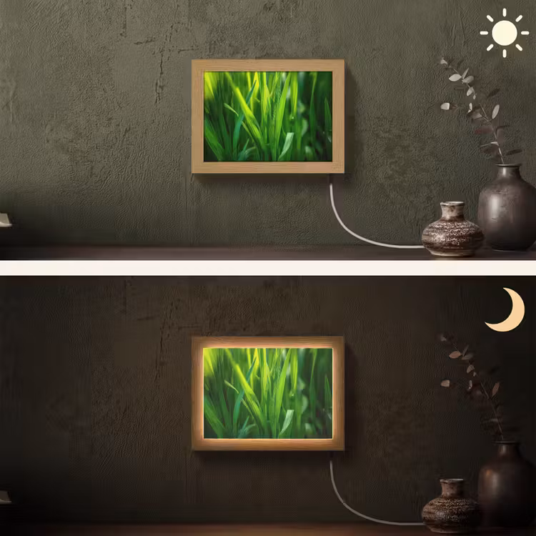 Lightbox - Wandlamp - Grassprieten - Lichtinval - Groen — 3