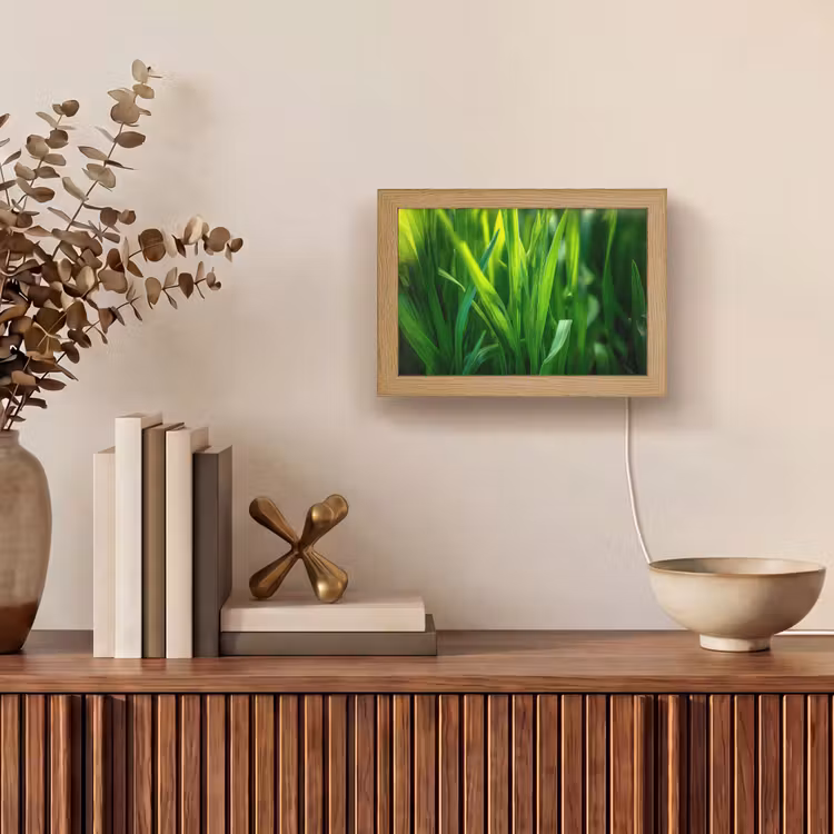 Lightbox - Wandlamp - Grassprieten - Lichtinval - Groen — 4