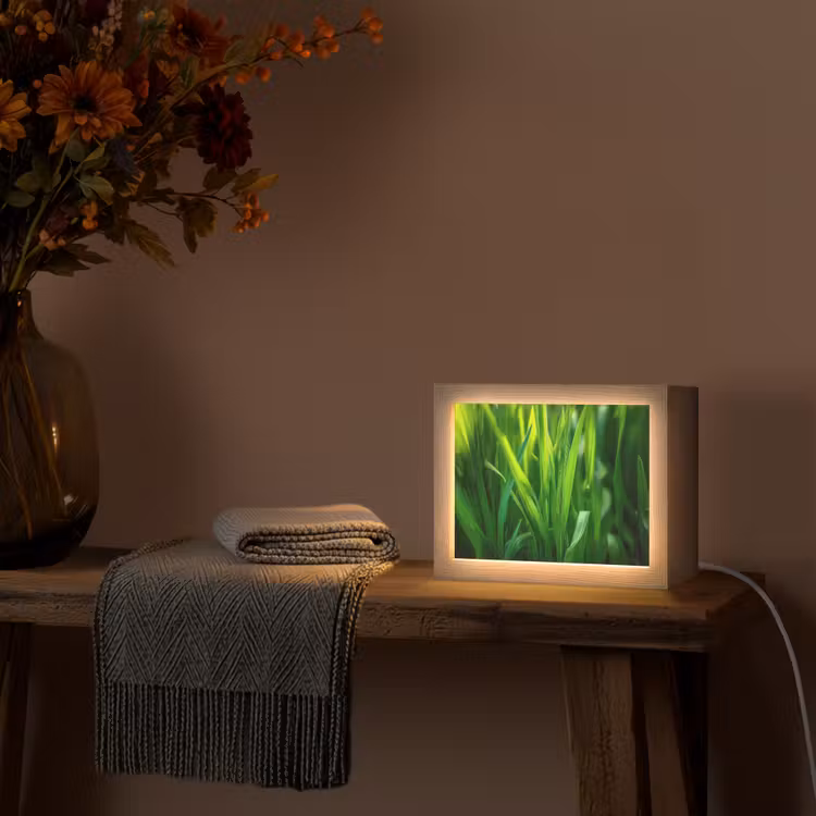 Lightbox - Wandlamp - Grassprieten - Lichtinval - Groen — 5