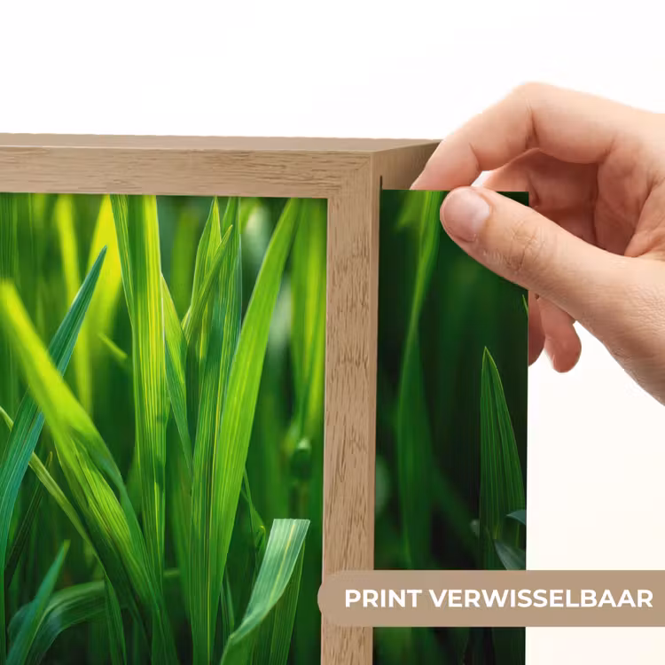 Lightbox - Wandlamp - Grassprieten - Lichtinval - Groen — 6