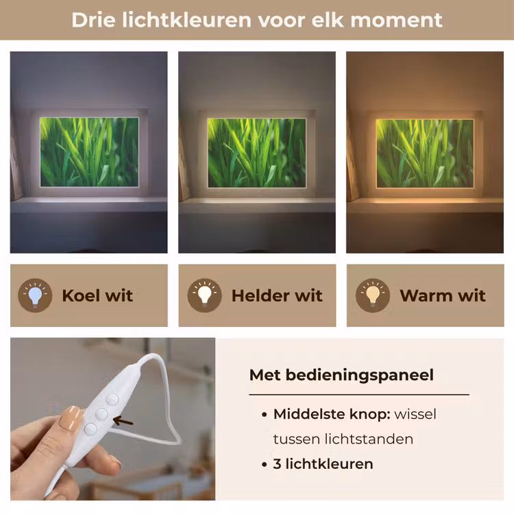 Lightbox - Wandlamp - Grassprieten - Lichtinval - Groen — 7