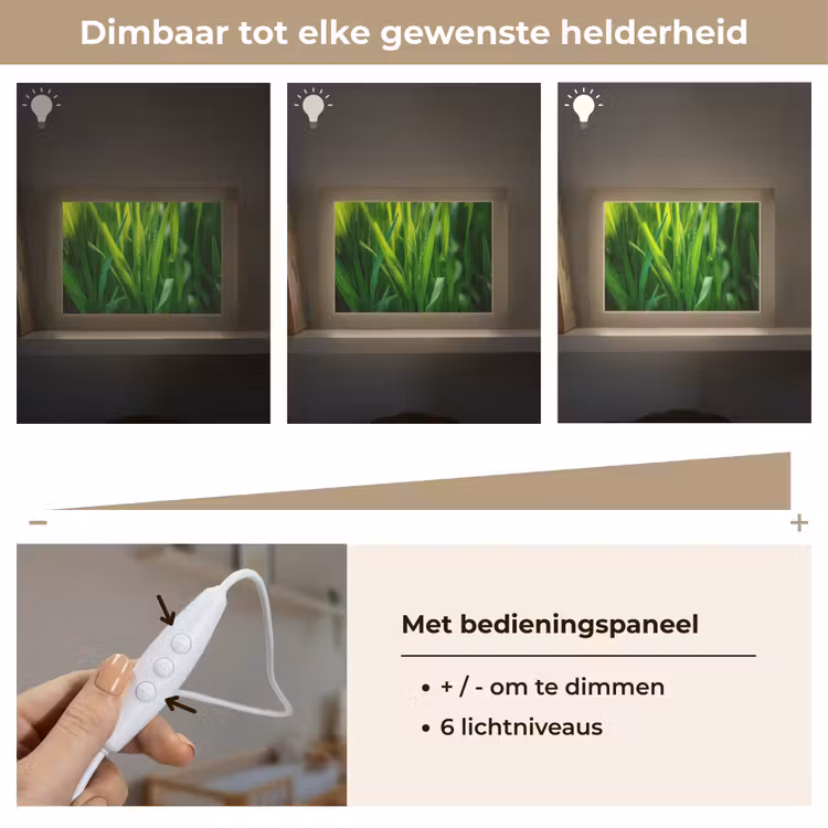 Lightbox - Wandlamp - Grassprieten - Lichtinval - Groen — 8