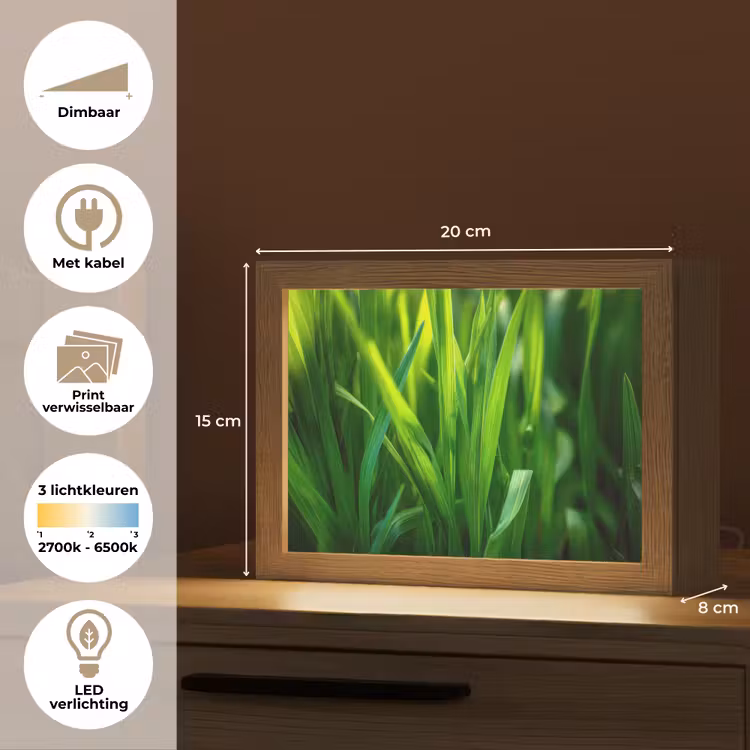 Lightbox - Wandlamp - Grassprieten - Lichtinval - Groen — 9