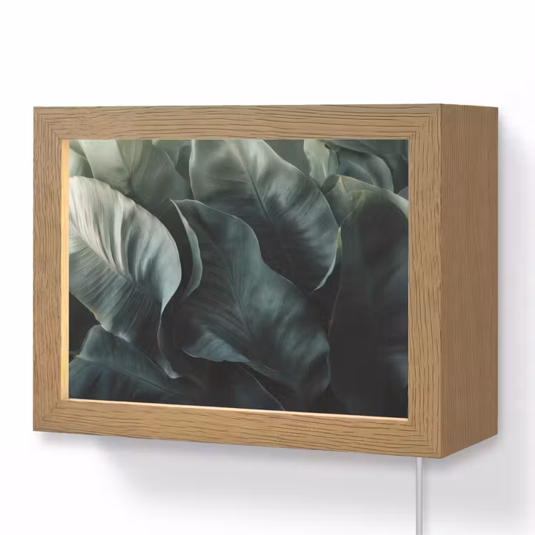 Lightbox - Wandlamp - Groen - Bladeren - Glad - Nerven — 1