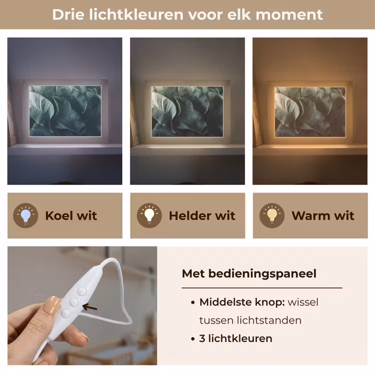 Lightbox - Wandlamp - Groen - Bladeren - Glad - Nerven — 7