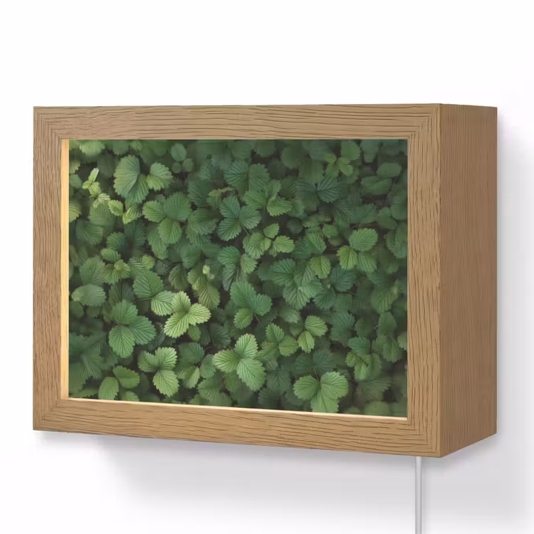 Lightbox - Wandlamp - Groen - Bladeren - Kartel - Zonlicht — 1