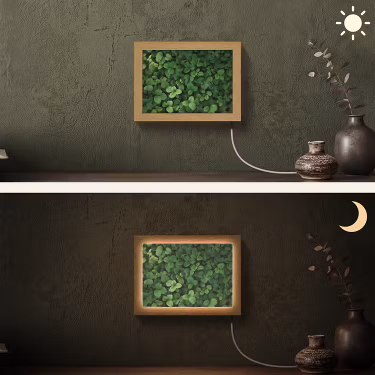 Lightbox - Wandlamp - Groen - Bladeren - Kartel - Zonlicht — 3