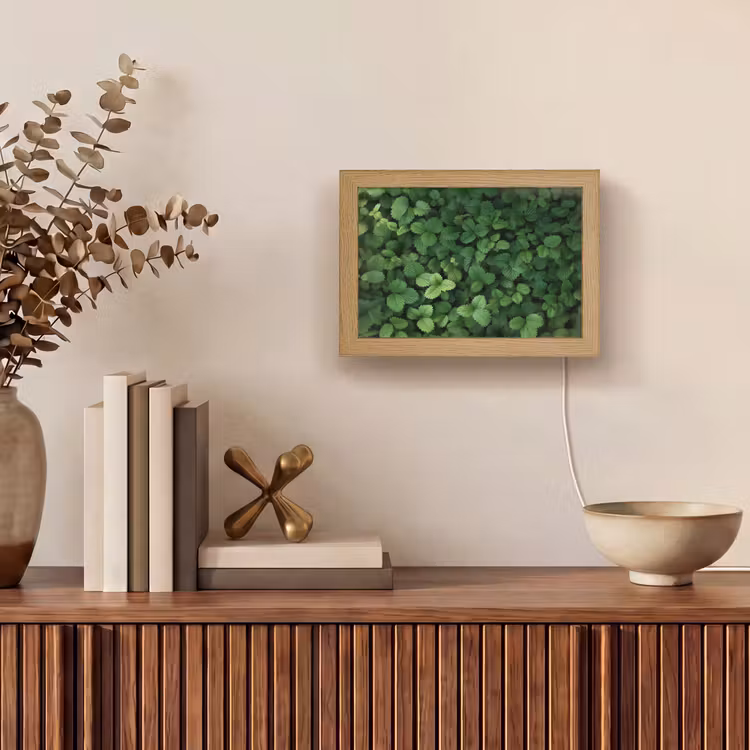 Lightbox - Wandlamp - Groen - Bladeren - Kartel - Zonlicht — 4