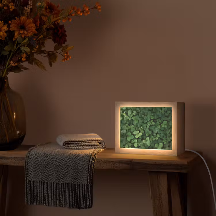 Lightbox - Wandlamp - Groen - Bladeren - Kartel - Zonlicht — 5