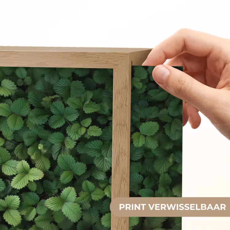 Lightbox - Wandlamp - Groen - Bladeren - Kartel - Zonlicht — 6