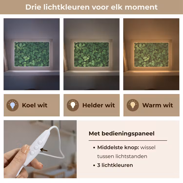 Lightbox - Wandlamp - Groen - Bladeren - Kartel - Zonlicht — 7