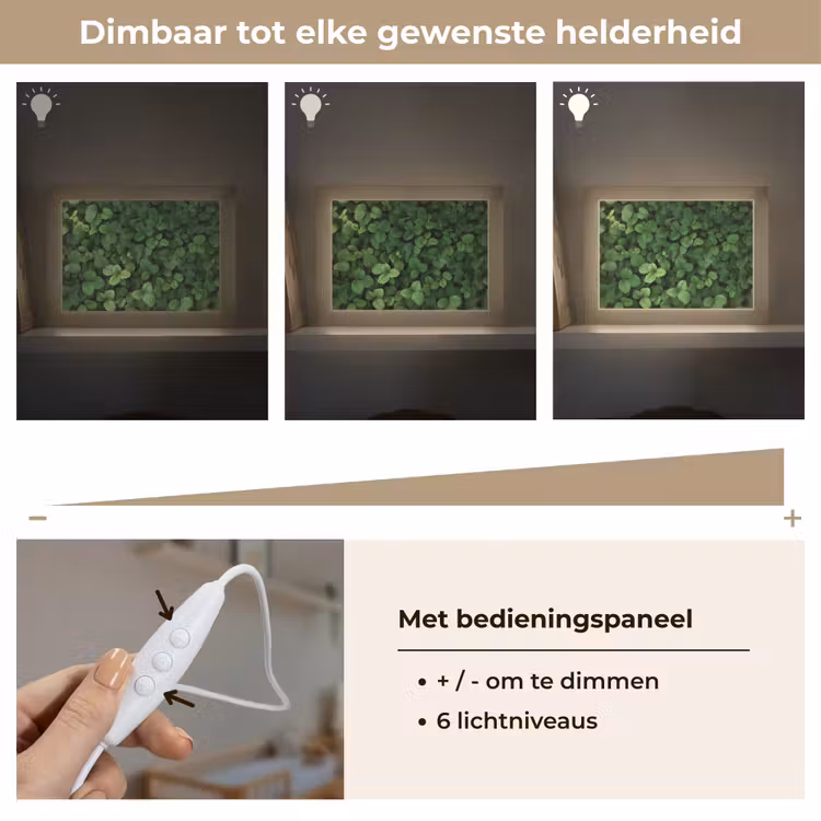 Lightbox - Wandlamp - Groen - Bladeren - Kartel - Zonlicht — 8