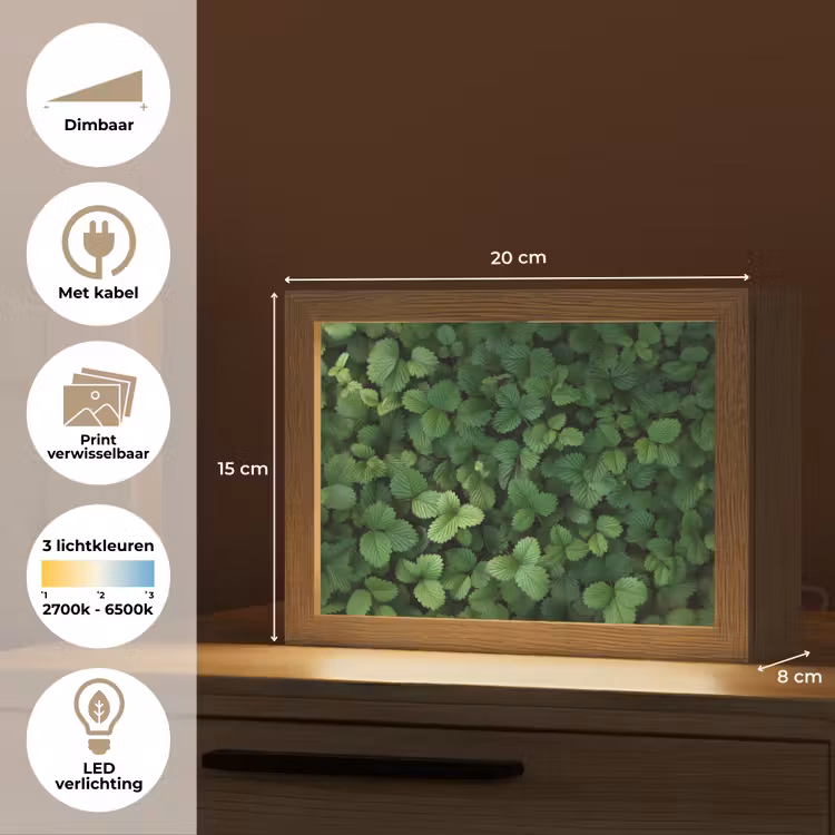 Lightbox - Wandlamp - Groen - Bladeren - Kartel - Zonlicht — 9