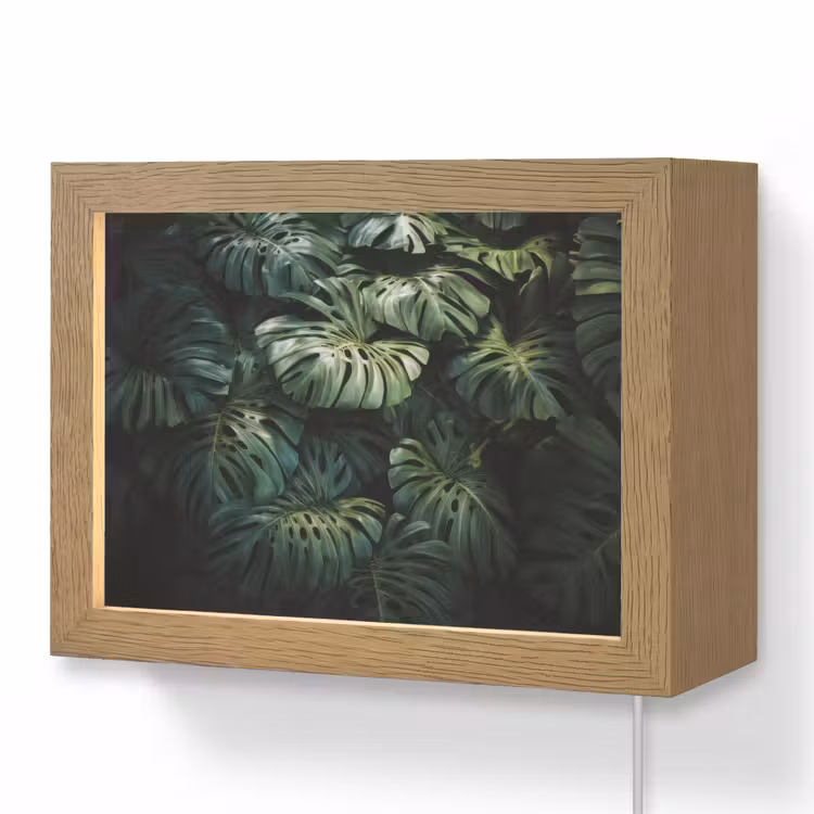 Lightbox - Wandlamp - Plant - Monstera - Lichtinval — 1