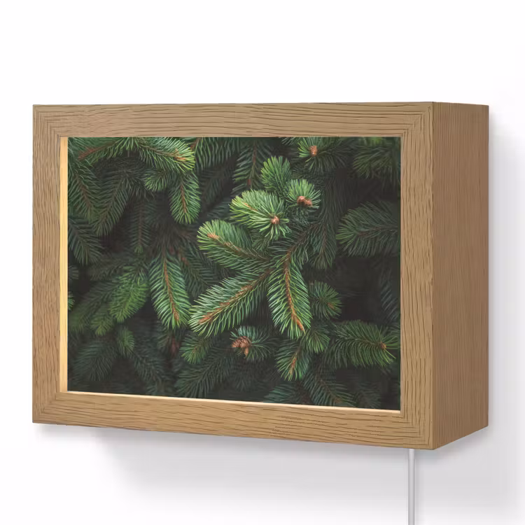 Lightbox - Wandlamp - Sparrentakken - Knoppen - Naalden - Groen — 1