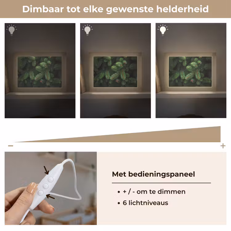 Lightbox - Wandlamp - Sparrentakken - Knoppen - Naalden - Groen — 8