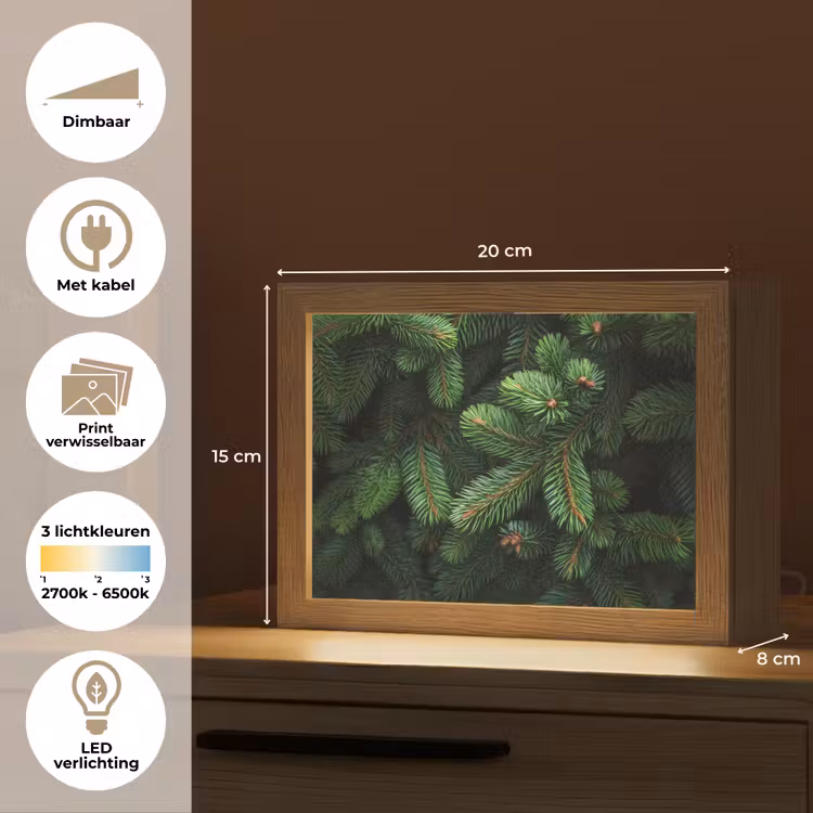 Lightbox - Wandlamp - Sparrentakken - Knoppen - Naalden - Groen — 9