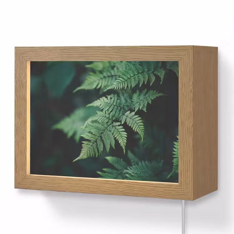 Lightbox - Wandlamp - Varenblad - Groen - Structuur - Wazig — 1