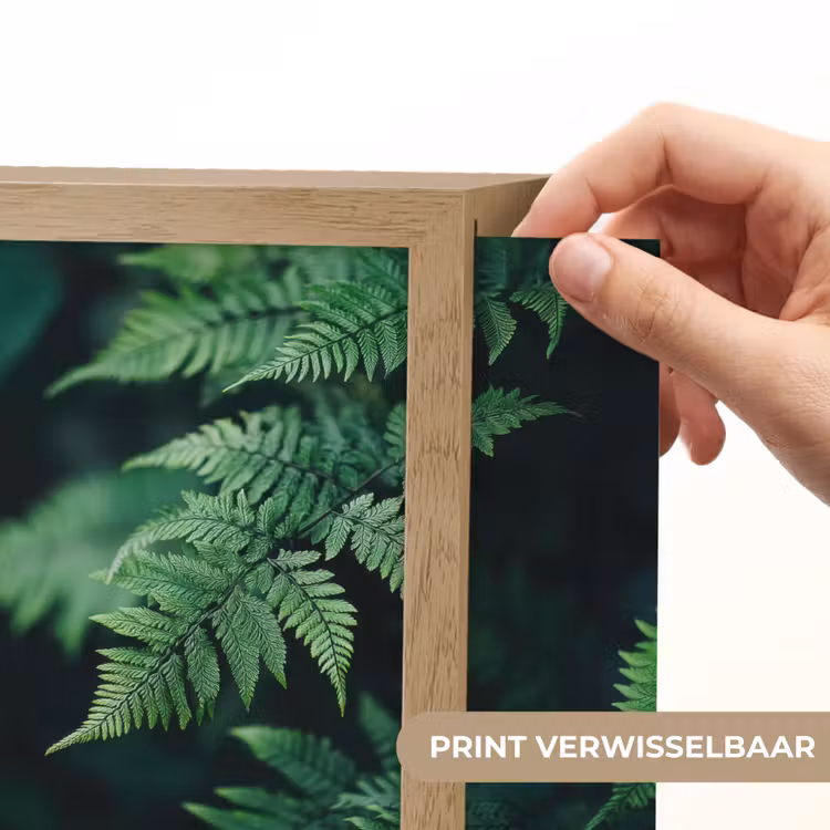 Lightbox - Wandlamp - Varenblad - Groen - Structuur - Wazig — 6