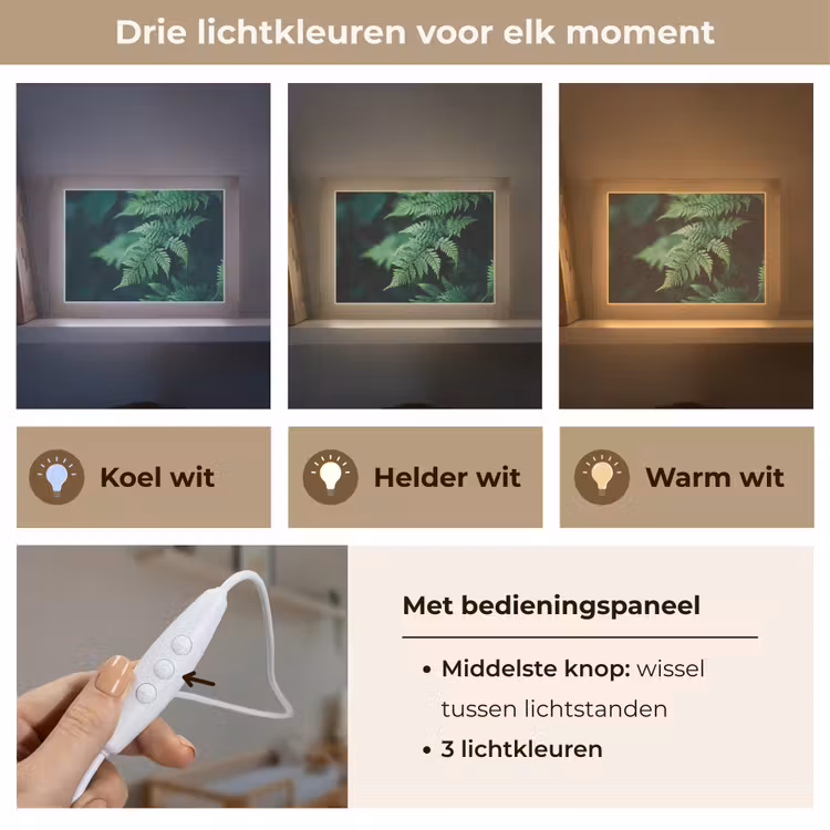 Lightbox - Wandlamp - Varenblad - Groen - Structuur - Wazig — 7