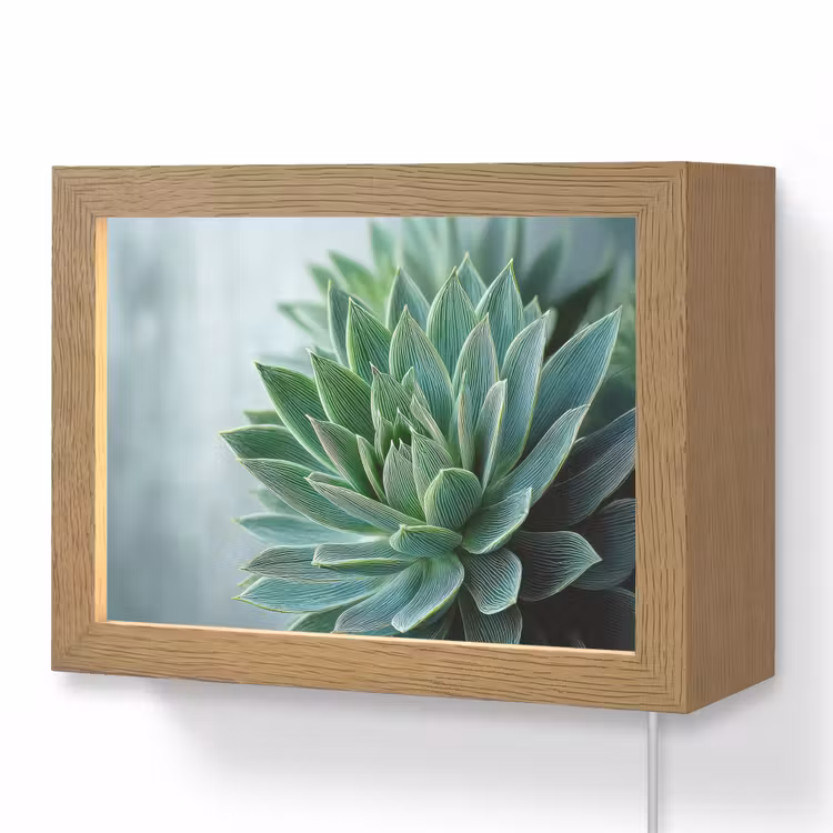 Lightbox - Wandlamp - Vetplant - Bladeren - Groen - Wazig — 1