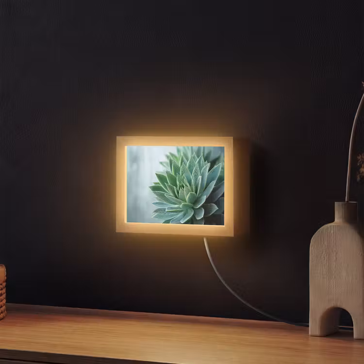 Lightbox - Wandlamp - Vetplant - Bladeren - Groen - Wazig — 2