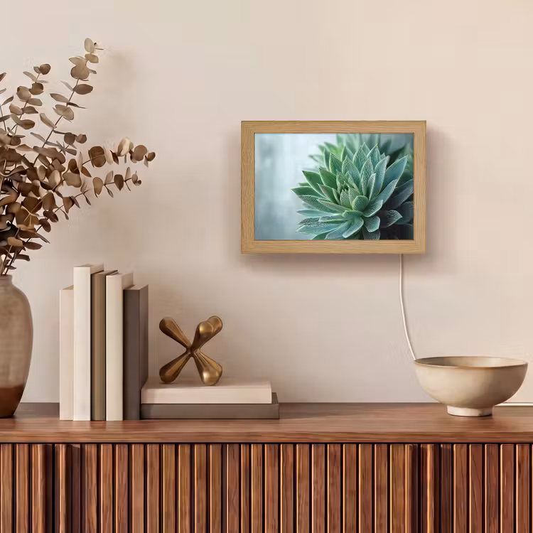 Lightbox - Wandlamp - Vetplant - Bladeren - Groen - Wazig — 4