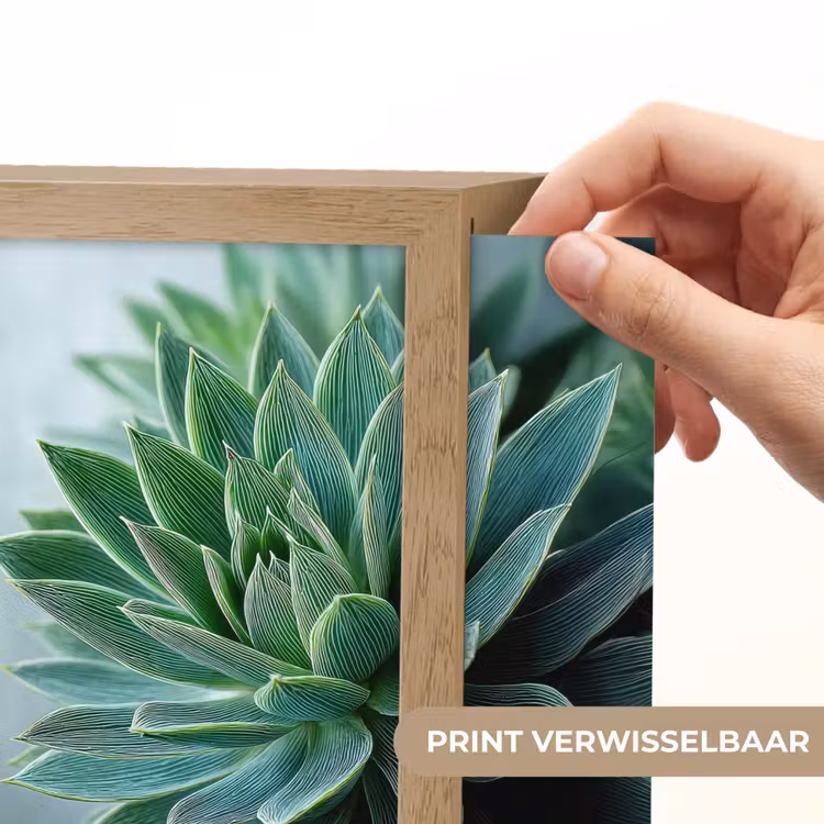 Lightbox - Wandlamp - Vetplant - Bladeren - Groen - Wazig — 6