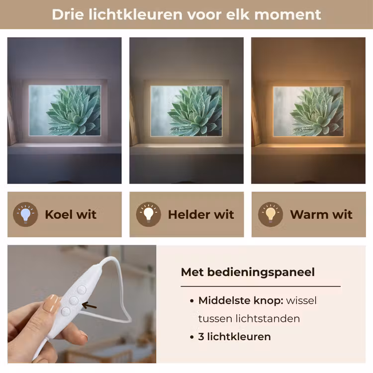 Lightbox - Wandlamp - Vetplant - Bladeren - Groen - Wazig — 7