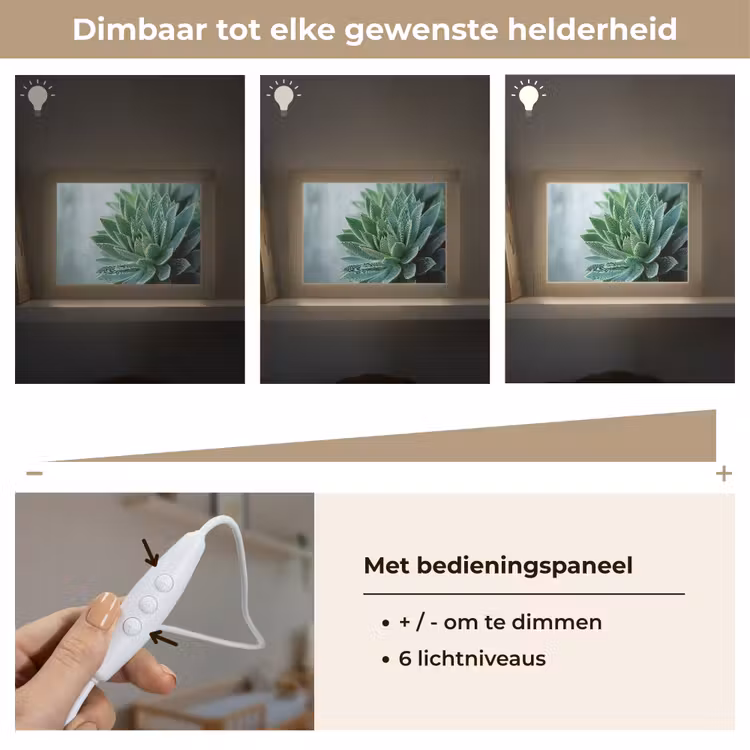 Lightbox - Wandlamp - Vetplant - Bladeren - Groen - Wazig — 8