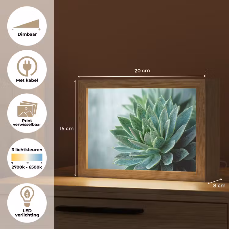 Lightbox - Wandlamp - Vetplant - Bladeren - Groen - Wazig — 9