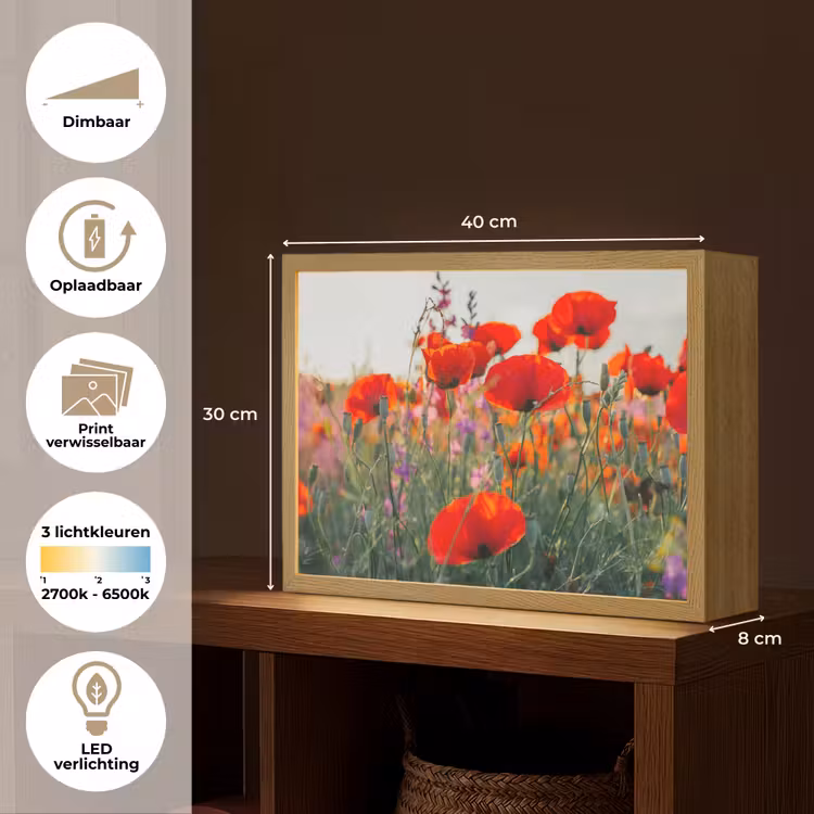 Lightbox - Wandlamp - Klaproos - Bloemen - Rood - Paars - Weide — 10