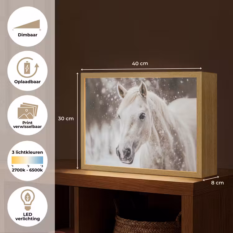 Lightbox - Wandlamp - Paard - Wit - Winter - Natuur - Sneeuw - Dieren — 10