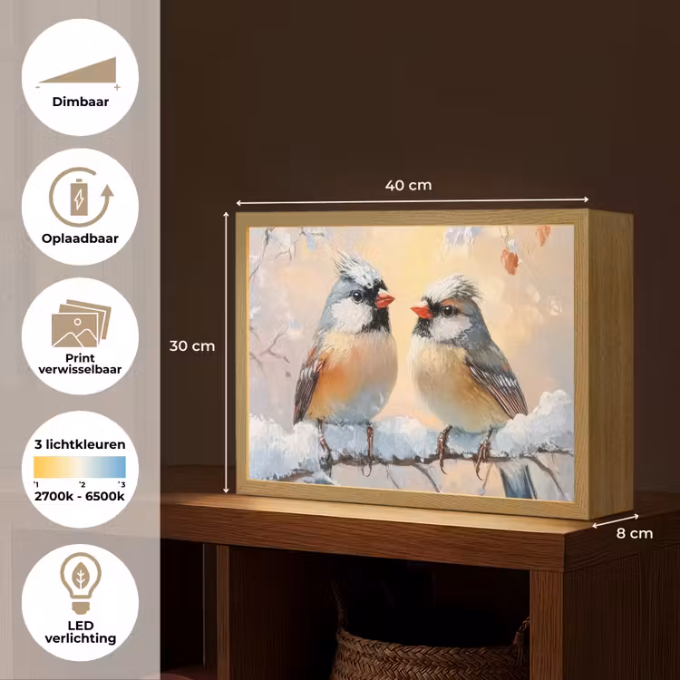 Lightbox - Wandlamp - Vogels - Tak - Winter - Sneeuw — 10