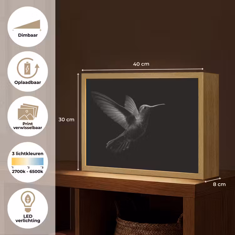Lightbox - Wandlamp - Kolibrie - Zwart - Dieren — 10
