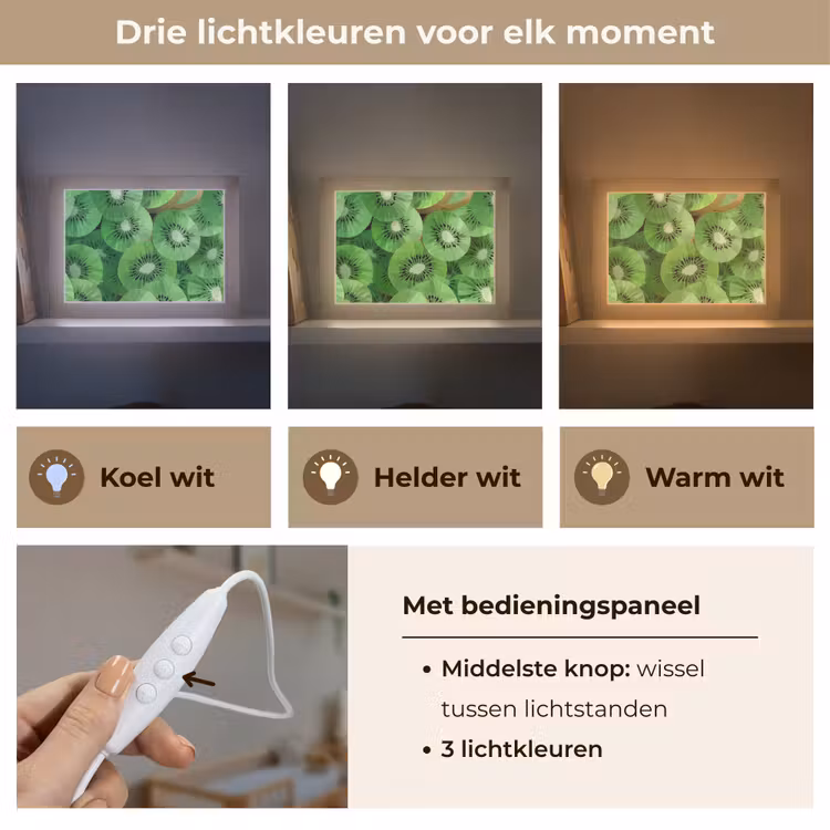 Lightbox - Wandlamp - Kiwi - Groen - Pitten — 7