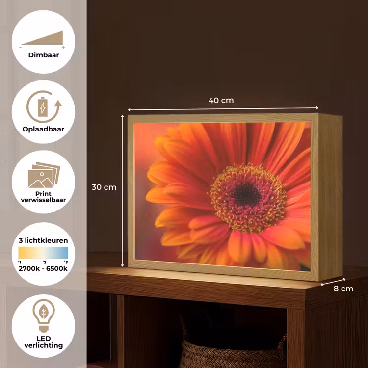 Lightbox - Wandlamp - Oranje - Gerbera - Intens — 10