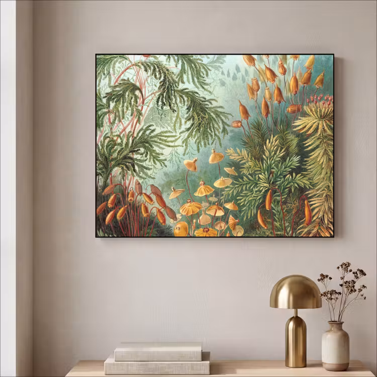 Art Frame - Oude meesters - Kunst - Muscinae - Haeckel — 5